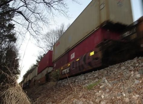 Midwest Emo Aesthetic, Midwest Emo, Emo Aesthetic, Alex G, Life Is Strange, A Train, Small Towns, Dream Life, Trees