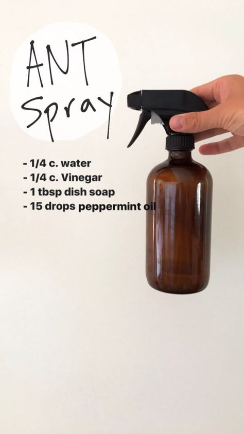 Pin on oils Ant Spray Diy Homemade Essential Oils, Natural Ant Spray, Natural Ant Repellant For Garden, Ant Spray Diy Homemade How To Get Rid, Diy Ant Repellant Indoor, Ant Spray Essential Oils, Essential Oil Ant Spray, Coffee Grounds Face Mask, Diy Ant Spray Indoor