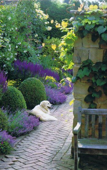 Boxwood And Lavender, Small Yard Design, Bord Design, Happy Memorial Day Weekend, Exquisite Gardens, Memorial Day Weekend, Traditional Landscape, Happy Memorial Day, Small Yard