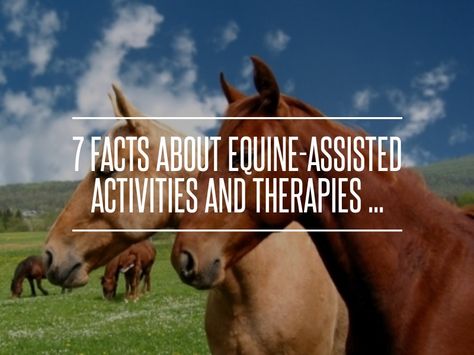 7 #Facts about #Equine-Assisted Activities and #Therapies ... → #Health #Therapy Equine Assisted Therapy Activities, Horse Therapy Activities, Equine Therapy Business, Animal Assisted Therapy Activities, Equine Assisted Learning Activities, Equine Therapy Quotes, Hippotherapy Activities, Equine Therapy Activities, Equine Assisted Therapy