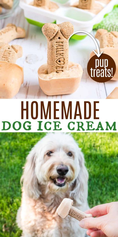 Dog Ice Cream is the perfect sweet treat for your pup on a hot day or for a special celebration. Just 5 ingredients needed for these dog-friendly frozen treats. Daisy Recipes, Homemade Dog Ice Cream, Puppy Recipes, Dog Ice Cream Recipe, Pup Treats, Frosty Paws, Pet Treats Recipes, Freeze Dryer, Frozen Dog Treats