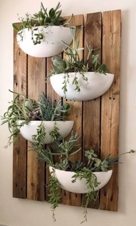 Diy Live Wall Indoor, Wood Plank Planter Wall, Boho Focal Wall, Succulent Living Wall, Wellness Collective, Wall Planters Indoor, Plant Wall Decor, Farm Store, Suit Ideas