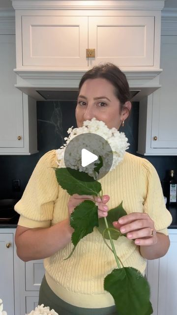 Leah Burland on Instagram: "Are your cut summer flowers wilting? Try alum powder, it works!! Trying on my roses next 🌹🌸🪻  Gardening | Landscaping | Hydrangeas | Flower Arrangement   #gardening #gardeningtips #landscaping #flowerarrangement #hydrangeas #hydrangea #newengland" Landscaping Hydrangeas, Flowers Wilting, Alum Powder, Hydrangea Flower Arrangements, Hydrangea Landscaping, Rose Flower Arrangements, Gardening Landscaping, Hydrangea Flower, Summer Flowers