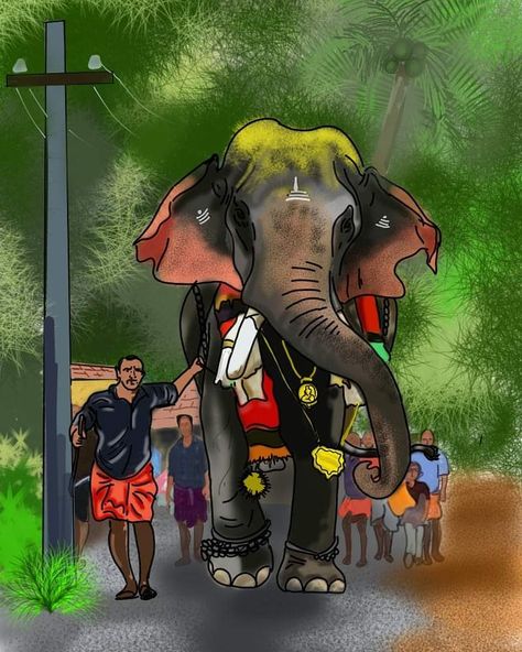 Kerala elephant thrikadavur Sivaraju , degital painting By Govind Balagopal (Govind Art's) Kerala Elephant Painting, Kerala Village Life Paintings, Kerala Elephant Drawing, Kerala Elephant Photography, Kerala Village, Kerala Painting, Kerala Elephant, Mahindra Jeep, Biker Logo Design