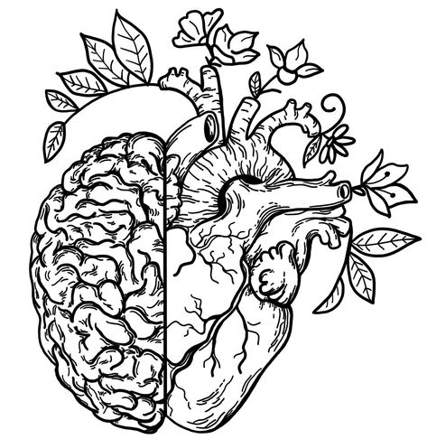 Brain Coloring Page, Medical Artwork, Heart With Flowers, Brain Tattoo, Line Tattoo Ideas, Anatomical Heart Tattoo, Heart And Brain, Half Heart, About Heart