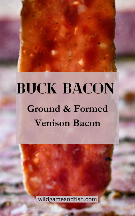 Deer Bacon Recipe Venison Bacon Burger Recipes, Venison Smoker Recipes, Deer Camp Recipes, Venison Leg Roast Recipes, Venison Ham Recipes, Venison Processing Recipes, Best Deer Meat Recipes, Venison Canning Recipes, Deer Bacon Recipes