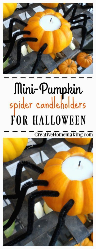 Kids Halloween Food, Creative Pumpkin Decorating, Pumpkin Candle Holder, Thanksgiving Projects, Pumpkin Candle, Pumpkin Spider, Creative Pumpkins, Pumpkin Candles, Halloween Candles