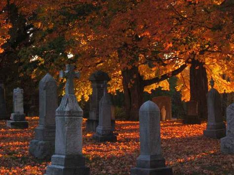 Old Cemetery, October Country, Old Cemeteries, Cemetery Art, Six Feet Under, Best Seasons, Halloween Town, Hallows Eve, Tombstone