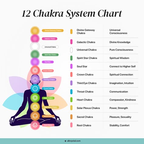 12 Chakras, Chakra Chart, Chakra Racine, Chakra System, Chakra Yoga, Yoga Nidra, Les Chakras, Healing Meditation, Solar Plexus Chakra