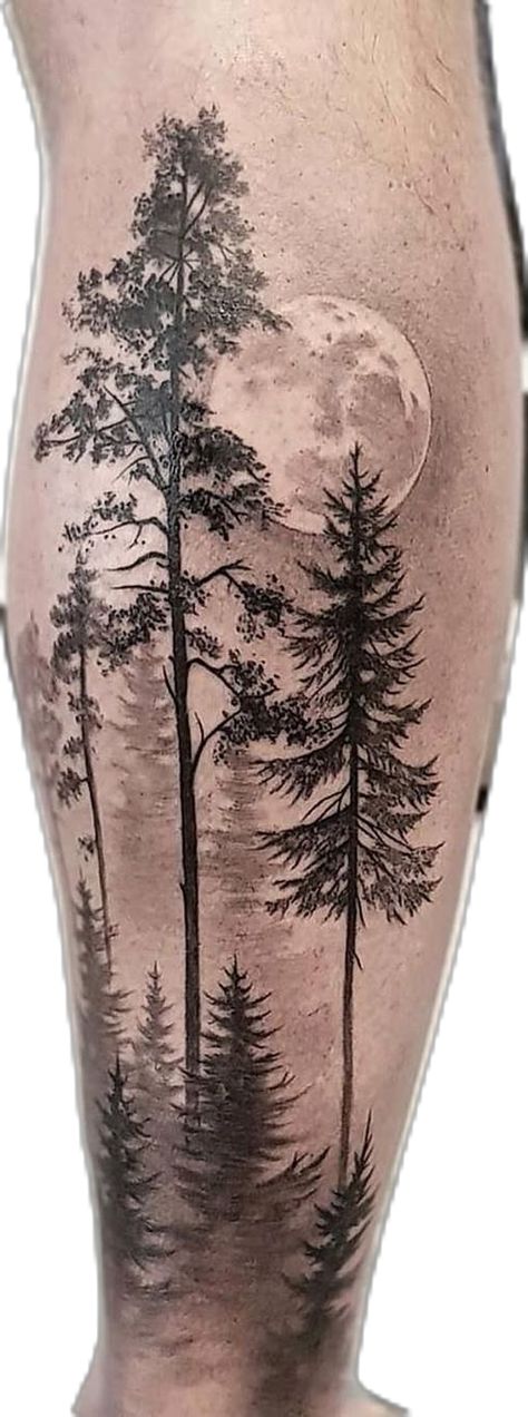 Pine Tree Tattoo Designs, Canadian Tattoo, Tree Tattoo Forearm, Pine Tree Silhouette, Animal Tattoo Ideas, Reference Ideas, Tree Tattoos, Pine Tree Tattoo, Tree Tattoo Designs