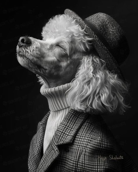 Dogs As People, Dogs With Hats, Pet Portraits Photography, Bon Ami, Funny Dog Faces, Pet Grooming Salon, Animals In Clothes, Fashion Abstract, Dog Faces