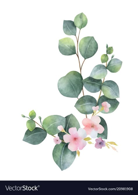 Watercolor Vector, Branch Vector, Watercolor Wreath, Green Eucalyptus, Illustration Botanique, Watercolor Bouquet, Leaves Vector, Flower Invitation, 수채화 그림