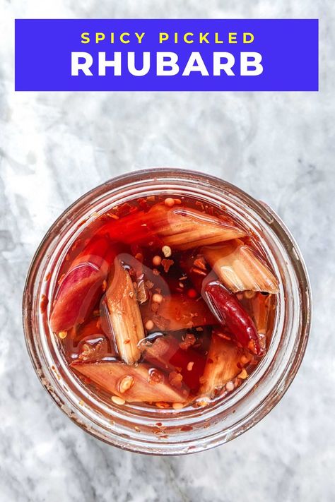 Rhubarb Pickles, Rhubarb Uses, Pickled Rhubarb, Best Rhubarb Recipes, Easy Pickling Recipes, Quick Pickles, Rhubarb Syrup, Spicy Pickles, Foraging Recipes