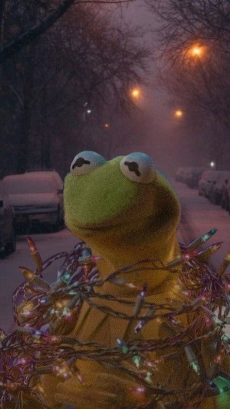 Kermit Christmas Wallpaper, How The Grinch Stole Christmas Aesthetic, Kermit Aesthetic, Kermit The Frog Wallpaper, Kermit Wallpaper, Kermit Christmas, Christmas Frog Wallpaper, Kermit The Frog Christmas, Kermit The Frog Mood