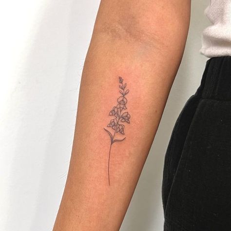 Dragon Snaps Flowers, Dragon Snap Tattoo, Snap Dragons Tattoo, Snapping Dragon Flower, Dragon Snap Flower Tattoo, Snap Dragon Tattoo Simple, Snap Dragon Flower Tattoo, Dragon Snap Flower, Snapdragon Flowers Tattoo