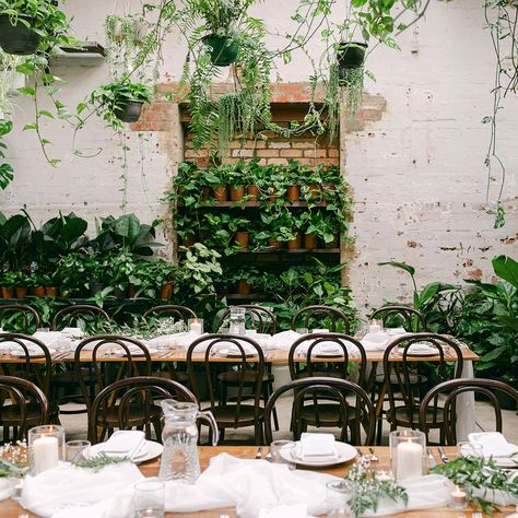 Sacred Heart Cathedral, Nature Themed Wedding, Vase With Branches, Wedding Plants, Greenery Wedding Decor, Groom And Groomsmen Attire, Polka Dot Wedding, Wedding Cake Decorations, Small Potted Plants