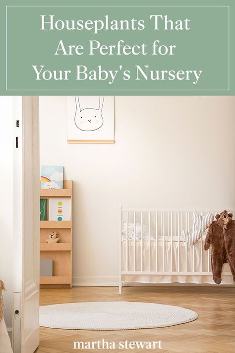 Irish Nursery, Safe Nursery, Best Houseplants, Montessori Baby, Nursery Baby Room, Plant Nursery, Baby Safe, Cool Plants, The Room