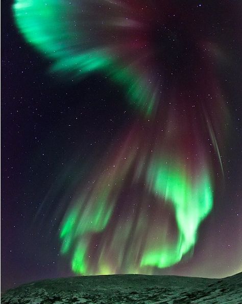 Aurora at Belushya Guba, Novaya Zemlya, Arkhangelsk Oblast, Russia. It is an archipelago in the Arctic Ocean in the extreme North of Russia. Novaya Zemlya consists of 2 major islands, separated by the narrow Matochkin Strait, and a number of smaller islands. The 2 main islands are Severny (Northern) and Yuzhny (Southern). Novaya Zemlya separates the Barents Sea from the Kara Sea. The total area is about 90,650 sq km (35,000 sq mi). Northern Lights (aurora Borealis), Aurora Borealis Northern Lights, See The Northern Lights, Space Photos, Tromso, Natural Phenomena, The Night Sky, Beautiful Sky, Science And Nature