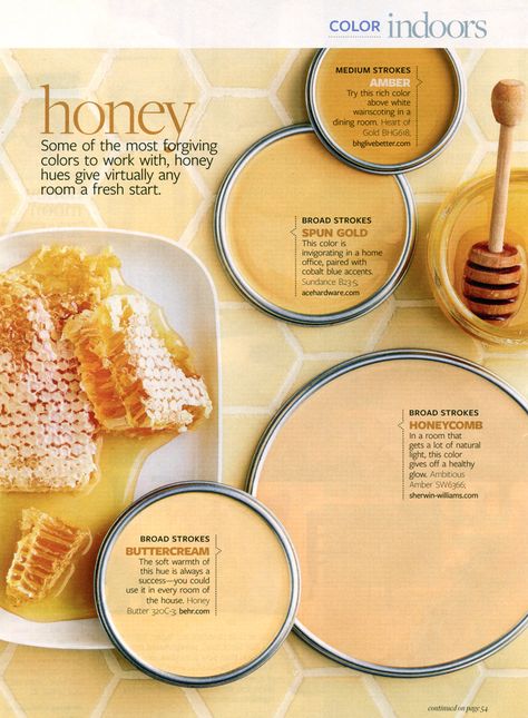 Better Homes and Gardens - Honey | January 2010 Ideal House, Color Boards, Paint Color Palettes, Paint Swatches, Interior Painting, Color Paint, Interior Paint Colors, Small Homes, Pretty Colors