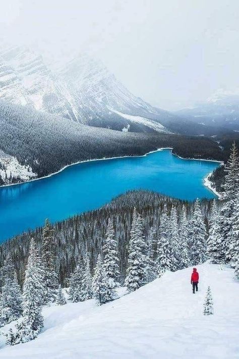 Aleksandar Mitrovic on Twitter: "Canada 💙❄️🤍 https://t.co/9Ar4UeaEz7" / Twitter Peyto Lake Canada, Aleksandar Mitrovic, Canada Mountains, Peyto Lake, Get Paid To Travel, Paid To Travel, Winter Christmas Scenes, Beautiful Scenery Pictures, Travel Wallpaper