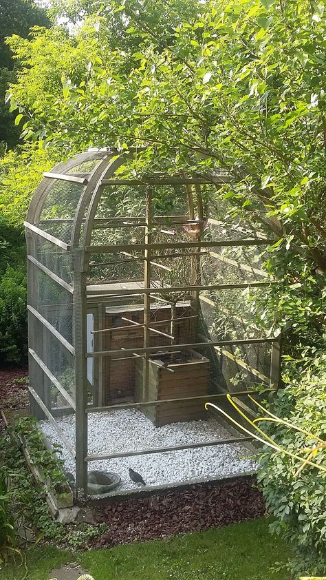 Bird Avery, Aviary Design, Big Bird Cage, Outdoor Pet Enclosure, Diy Bird Cage, Bird Cage Design, Extravagant Homes, Conure Parrots, Pet Bird Cage