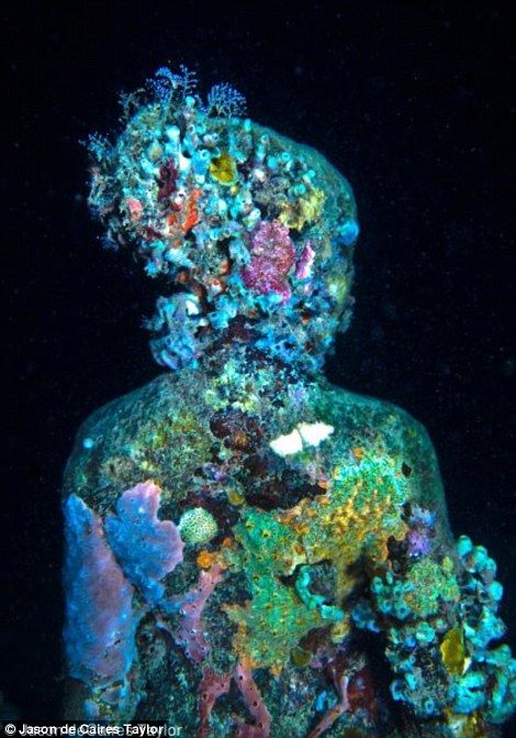 Woman seen decorated in neon coral Jason Decaires Taylor, Sea Corals, Underwater Park, Underwater Sculpture, Sculpture Museum, Sea Sculpture, Underwater Sea, Underwater Art, Mosaic Murals