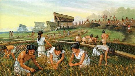 Ancient farmers. (Heritage of Japan) Yayoi Era, Yayoi Period, Neolithic Revolution, Agricultural Revolution, Sea Of Japan, Historia Universal, Human Society, Ancient Origins, Mesopotamia