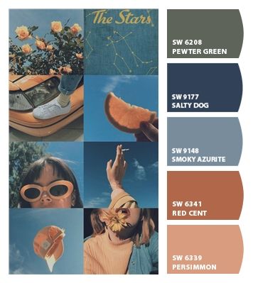 Sherwin Williams Contented Color Palette, Sherwin Williams Sunset Paint Color, Salty Dog Color Palette, Dog Color Palette, Sherwin Williams Sealskin Color Palettes, Kilim Beige Sherwin Williams Pallet, Sherwin Williams Color Schemes, Salty Dog, Door Colors