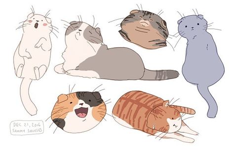 scottish fold babies :') #art #scottishfold #scottishfolds #cat #cats #kitten #kittens #kitty #kitties Sammy Savos, Scottish Fold Cat, Fold Cat, Animal Doodles, 강아지 그림, Art Manga, Scottish Fold, Cats Illustration, Cute Animal Drawings