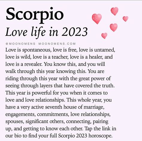 Drawing Walking, Scorpio Eyes, Scorpion Zodiac, Soulmate Drawing, Zodiac Quotes Scorpio, Zodiac Meanings, Horoscope Memes, Scorpio Love, Soulmate Sketch