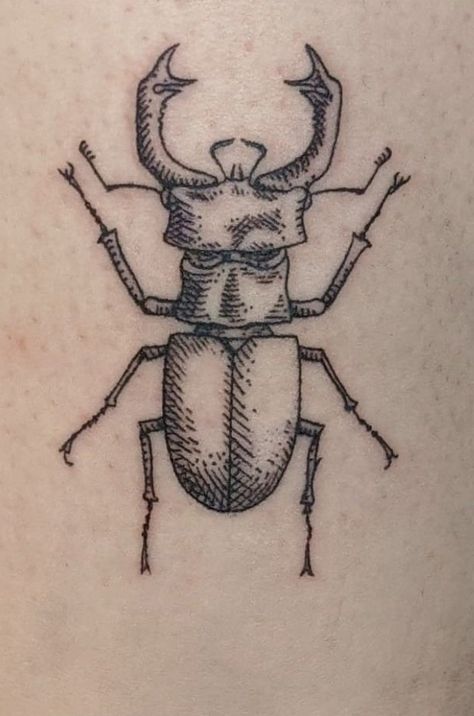 Realistic Sticker Tattoo, Bug Patchwork Sleeve Tattoo, Bug Tattoo Stencil, Small Beetle Tattoo, Small Bug Tattoo, Isopod Tattoo, Stag Beetle Tattoo, Oddities Tattoo, Beetle Tattoo Design