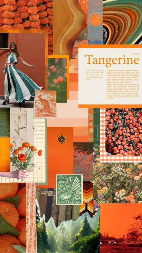 White Green Yellow Orange Color Palette, Green And Orange Instagram Feed, Dark Orange And Green Aesthetic, Green And Orange Decorations, Tangerine Color Palette, Green Orange Decor, Green And Orange Palette, Green And Orange Aesthetic, Orange And Green Decor