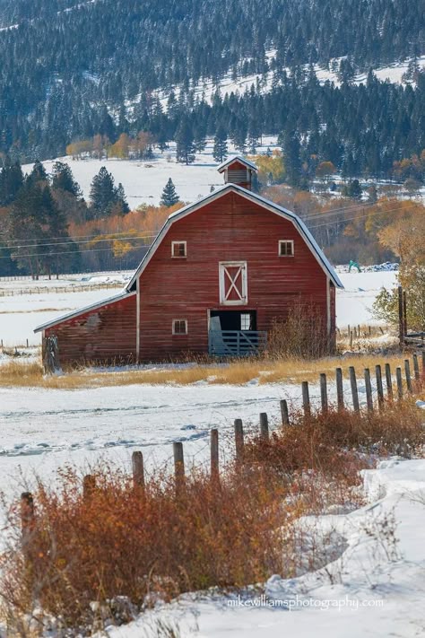 Photo Painting Ideas, Red Barn House, A Winters Tale, Montana Photography, Winter Houses, Farm Scenery, Bales Of Hay, Cows Mooing, Farm Sweet Farm