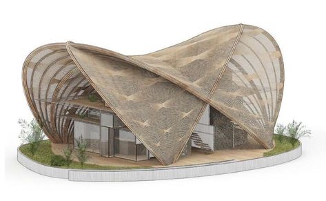 Biomimicry Architecture, Conceptual Model Architecture, Shell Structure, Bamboo House Design, Concept Models Architecture, Pavilion Architecture, Bamboo Architecture, Pavilion Design, Architecture Concept Diagram