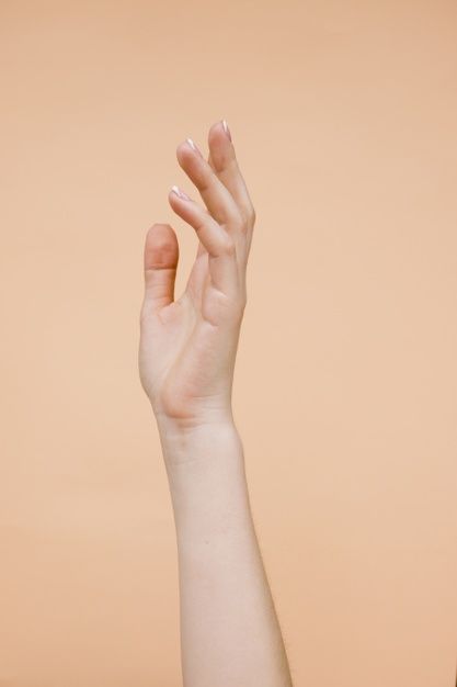 Sideview woman's hands with pale orange background Free Photo | Free Photo #Freepik #photo #freebackground #freehand #freewoman #freehands Womans Hand Reference, Woman Hands Reference, Woman Hand Reference, Hand Reference Photos, Pale Orange Background, Hand Anatomy, Cosmetic Creative, Woman Hand, Hand Drawing Reference