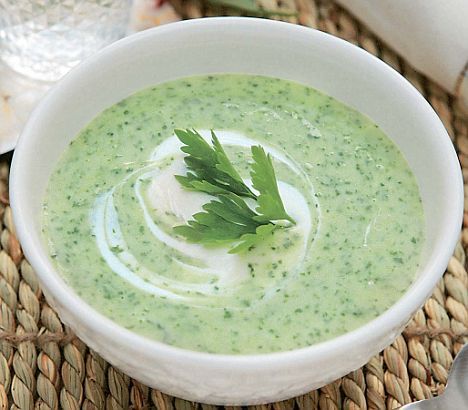 Parsley Soup, Austrian Cuisine, Green Soup, Vegetarian Lifestyle, Salad Spinner, Garden Herbs, Hot Soup, Vegetarian Recipes Healthy, Healthy Vegetarian