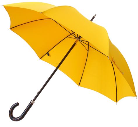 Yellow E1 Umbrella Yellow Umbrella, Hindu Festivals, Types Of Houses, Beech Wood, Steel Frame, Dark Brown, Umbrella, Buy Online, Collage