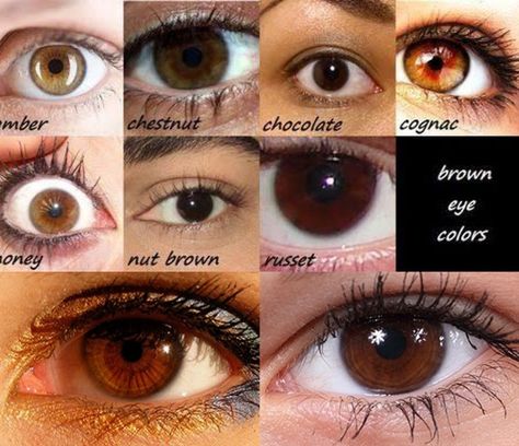 Less than fifty shades of genetically brown eyes. #MyEyeColor Shades Of Brown Eyes Chart, Brown Eye Appreciation, Pretty Eyes Brown, Reddish Brown Eyes, Types Of Brown Eyes, Cognac Eyes, Chestnut Brown Eyes, Black Eyes Color, Shades Of Brown Eyes