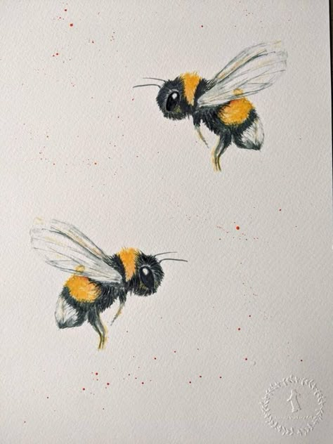 Henry Cheng, Bee Sketch, Honey Bee Tattoo, Bumble Bee Tattoo, Bumble Bee Art, Bee Artwork, Bee Drawing, Bee Pictures, Bee Painting