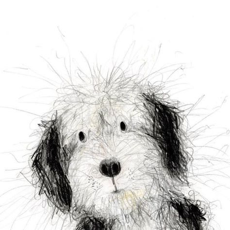 Catherine Rayner on Instagram: "Look at gorgeous little ‘Flo’! 🤍🐾 A Thursday drawing to make you smile. #catherineraynerdailydrawing. (The original drawing is available to adopt from my website - link in stories) #dog #dogart #artistsoninstagram #scruffydog #mixedbreed #mixedbreedsofinstagram #doglover #dogloversofinstagram #wirehaired #mongrel #adoptdontshop #doglife #dogoftheday #dogs #dogsofinstagram #doglover #dogart #illustrator #fluffydog #fluffydogs #fluffydogsofinstagram" Catherine Rayner Illustrations, Thursday Drawing, Catherine Rayner, Dog Watercolor Painting, Scruffy Dogs, Dog Portraits Painting, Animal Illustration Art, Scribble Art, Dog Sketch