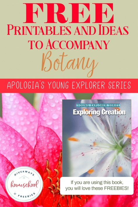 Apologia Exploring Creation with Botany FREE Printables - Homeschool Giveaways Botany Photography, Botany Lessons, Botany Books, Science Printables, Botany Illustration, Physics And Mathematics, Science Activities For Kids, Science Curriculum, Science Fair Projects