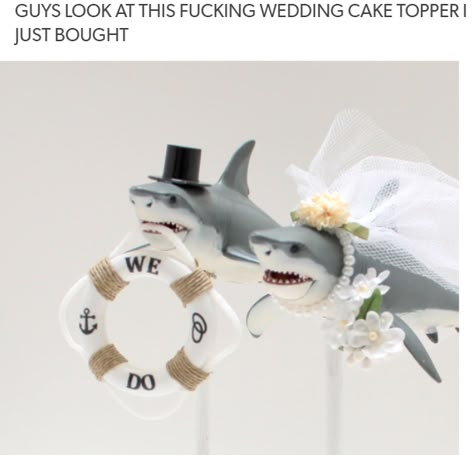 Shark Wedding Cake, Shark Theme Wedding, Shark Wedding, Shark Birthday Party Aesthetic, Save The Sharks, Shark Week Meme Funny, Shark Week Memes, Cute Shark, Shark Week