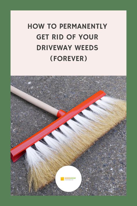 How to Permanently Get Rid of Your Driveway Weeds (Forever) Driveway Materials, Kill Weeds Naturally, Killing Weeds, Kill Weeds, Pulling Weeds, Gravel Driveway, Dry Sand, Block Paving, Weeding Tools