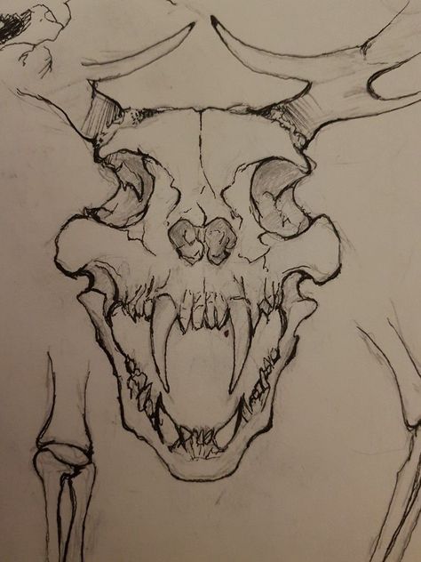 Skull Sketch, Scary Drawings, Dragon Skull, Creepy Drawings, Beautiful Tattoo, Work Online, Next Tattoo, Cat Air, Skull Drawing