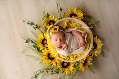 Sunflower Newborn Photography. Sunflower. Yellow Newborn. Yellow Newborn Photography. Floral Newborn. Newborn Photography. Newborn Photo Session. Light Toned Newborn Session. Organic Newborn Portraits. Newborn Photos. Newborn Workflow. Newborn Posing. Newborn Inspiration. Newborn Photographer » Sonia Boukaia - El Paso Photographer. Sunflower Newborn Pictures, Yellow Newborn Photography, Newborn Sunflower Photoshoot, Newborn Art, Newborn Photo Session, Baby Pictures Newborn, Colorful Baby, Newborn Baby Photoshoot