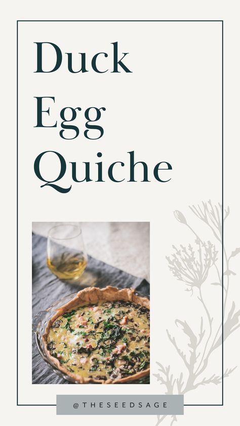 Duck Egg Quiche, Duck Egg Quiche Recipes, Duck Eggs Recipe, Duck Egg Recipe, Chard Quiche, Egg Quiche Recipes, Egg Quiche, Plate Recipes, Egg Pie