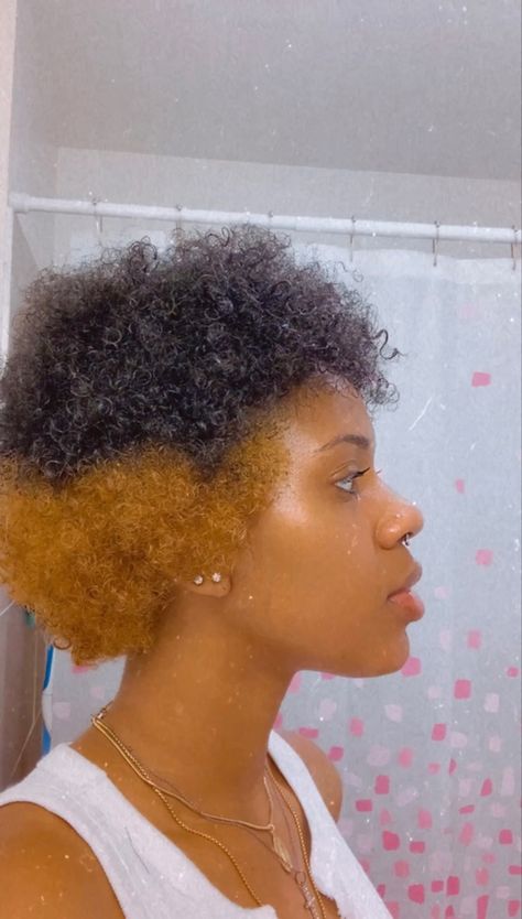 Mini Afro Hairstyles, Skunk Stripe Hair Black Women, Natural Hair Pictures, Type 4c Hairstyles, Blonde Natural Hair, Finger Waves Short Hair, Short Afro, Dyed Blonde Hair, Dyed Natural Hair