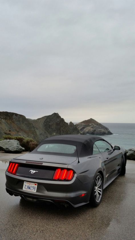 ford mustang 2015 Ford Mustang 2015, New Mustang, Usa Roadtrip, Mustang 2015, S550 Mustang, They See Me Rollin, Girly Car, 2015 Ford Mustang, Best Friend Quotes Funny