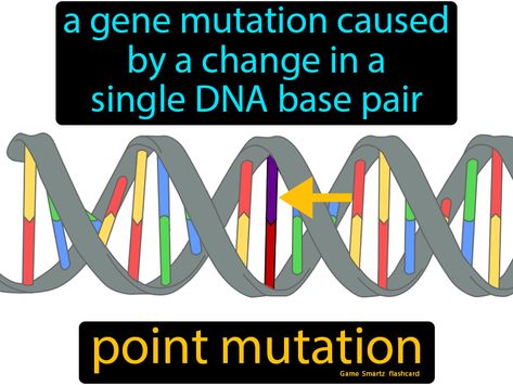 Point Mutation: A gene mutation caused by a change in a single DNA base pair. Mutation Drawing, Comt Gene Mutation, Genetic Mutation Human, Mthr Gene Mutation, Point Mutation, Population Genetics, Gene Mutation, Mthfr Gene Mutation, Mthfr Gene