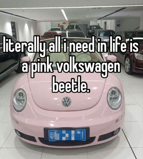 Pink Vw Beetle, Pink Volkswagen, Pink Volkswagen Beetle, Bug Car, Pink Pinterest, The Beetle, Beetle Car, Girly Car, Vw Vintage